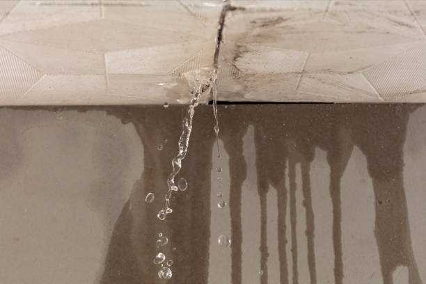 Professional Structural Drying technician working in Woodberry Forest, VA